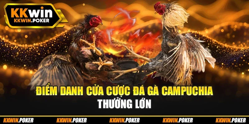 Điểm danh cửa cược đá gà Campuchia thưởng lớn
