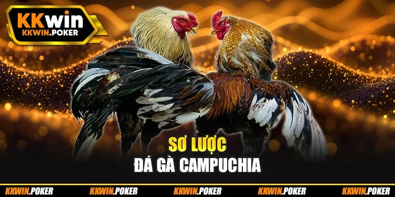 Sơ lược đá gà Campuchia