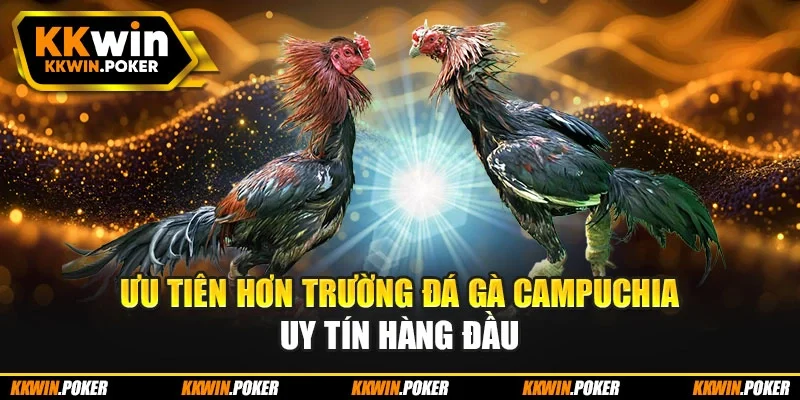 Ưu tiên hơn trường đá gà Campuchia uy tín hàng đầu