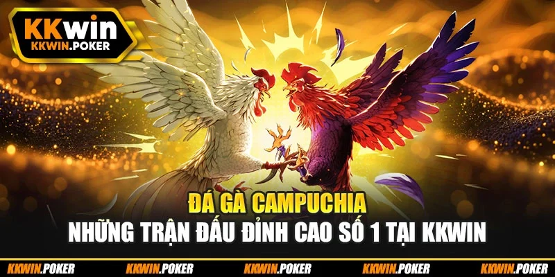 Đá Gà Campuchia - Những Trận Đấu Đỉnh Cao Số 1 Tại Kkwin