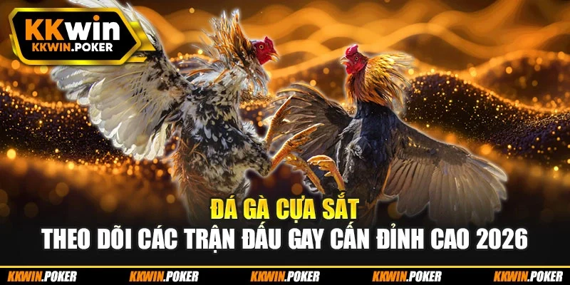 Đá Gà Cựa Sắt – Theo Dõi Các Trận Đấu Gay Cấn Đỉnh Cao 2026
