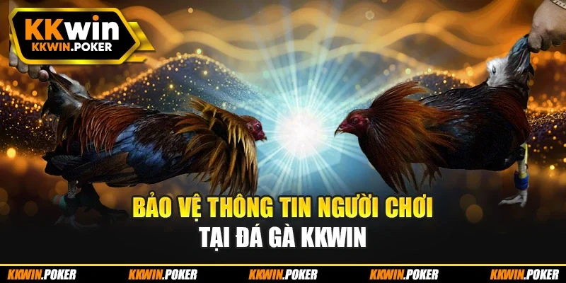 Bảo vệ thông tin người chơi tại đá gà KKWIN