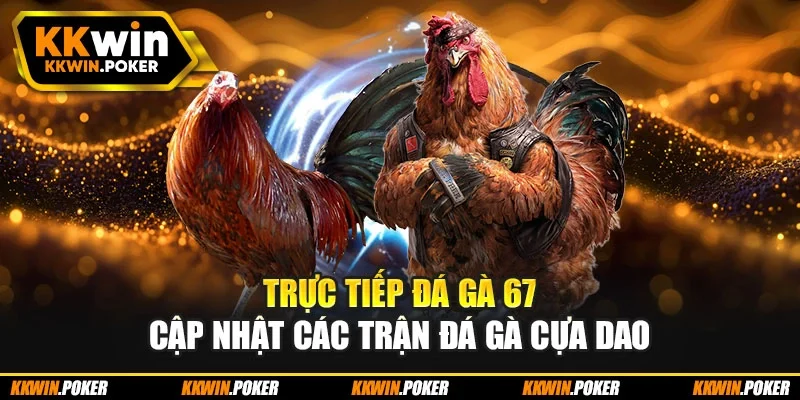 Trực tiếp đá gà 67 cập nhật các trận đá gà cựa dao Trực tiếp đá gà 67 cập nhật các trận đá gà cựa dao