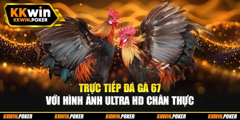 Trực tiếp đá gà 67 với hình ảnh Ultra HD chân thực Trực tiếp đá gà 67 với hình ảnh Ultra HD chân thực