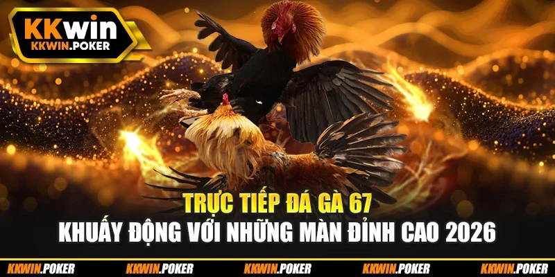 Trực Tiếp Đá Gà 67 Khuấy Động Với Những Màn Đỉnh Cao 2026